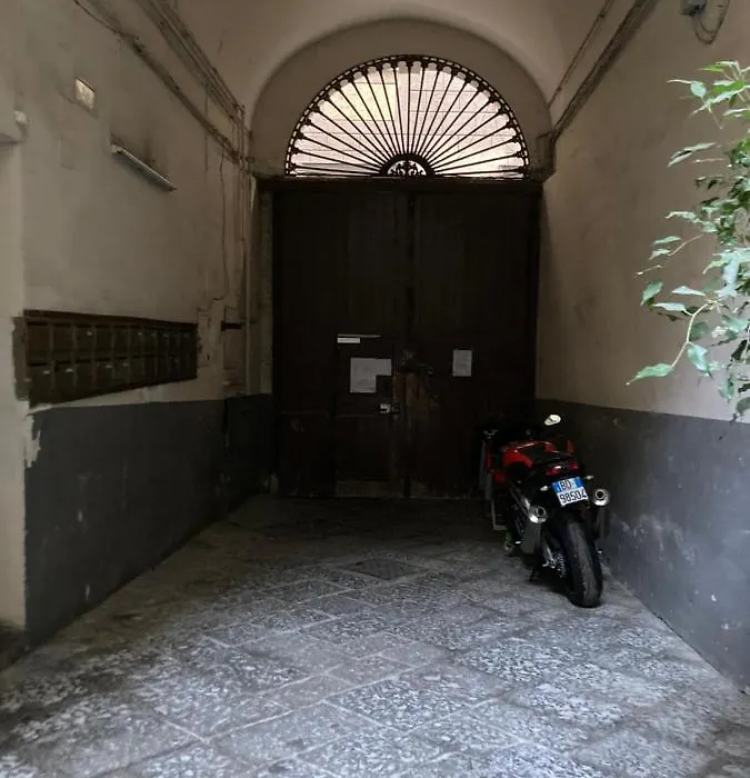 Zuccarella "Zuccherino"Nel Cortile-1