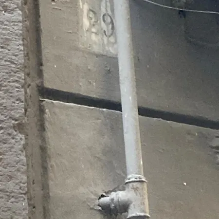Zuccarella "Zuccherino"Nel Cortile-3
